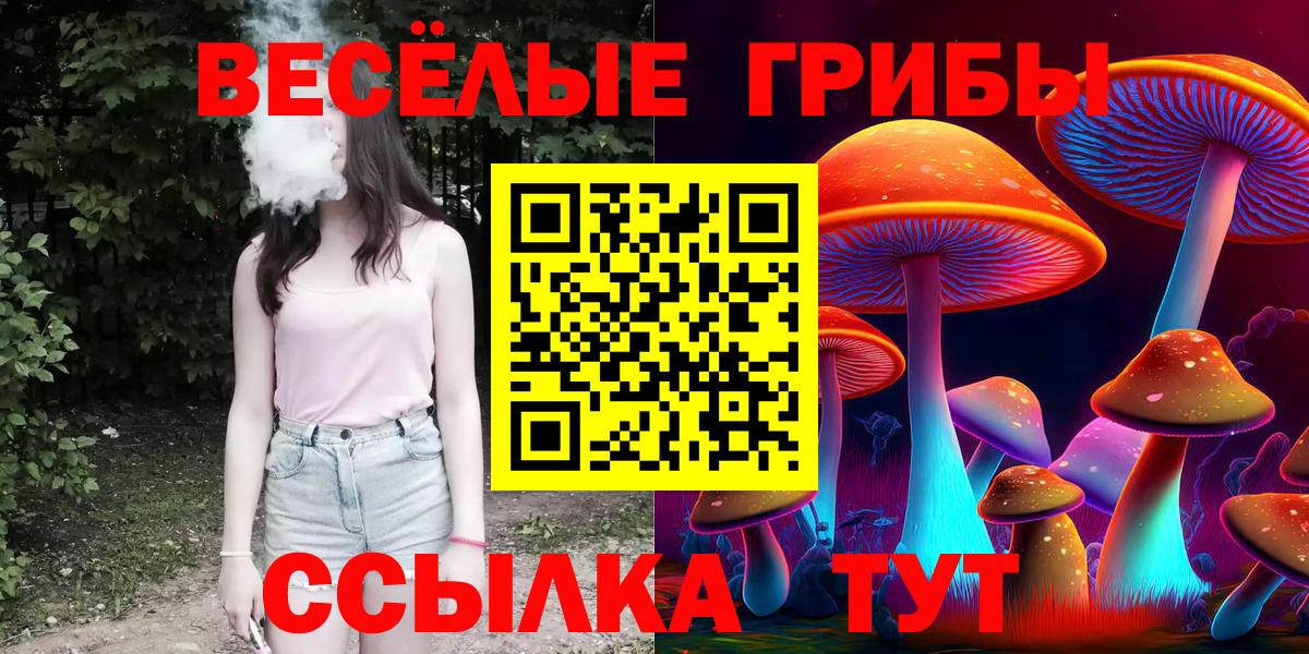 Псилоцибиновые грибы мухоморы Каменск-Шахтинский